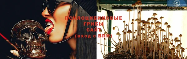 гидропоника Инсар