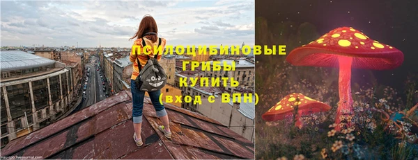 2c-b Инта
