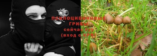 каннабис Магас